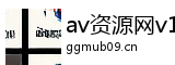 av资源网v1