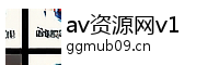 av资源网v1 Logo